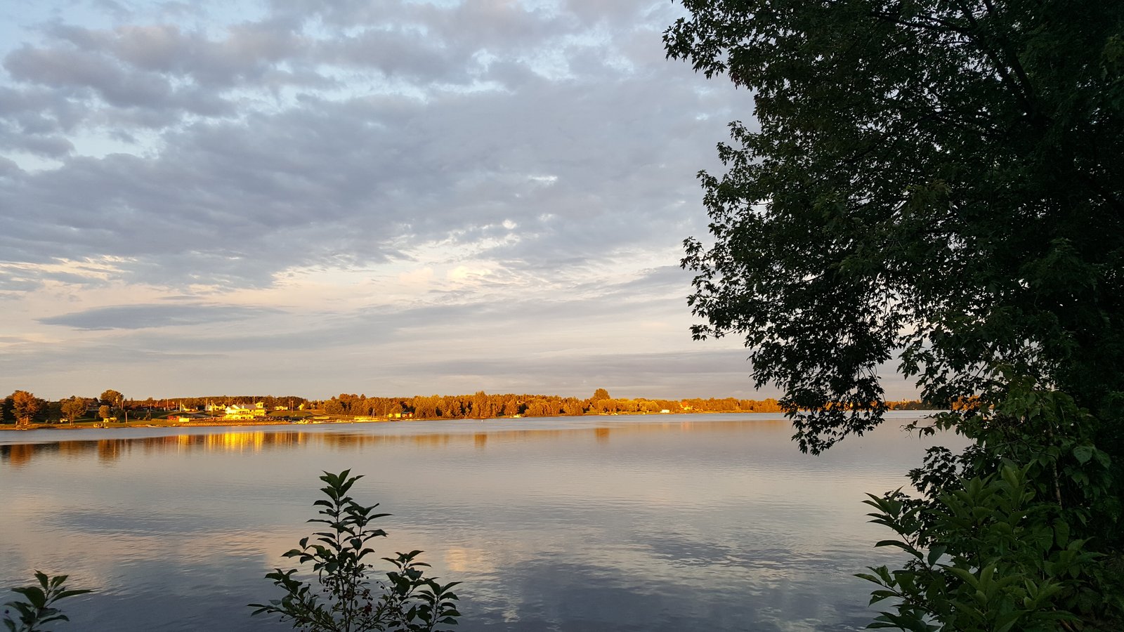 20170815_194342_001.jpg