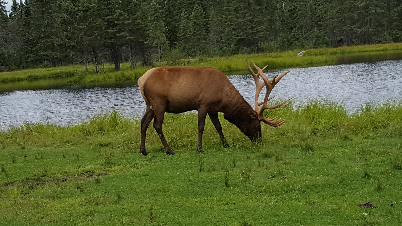 20170816_102200.jpg